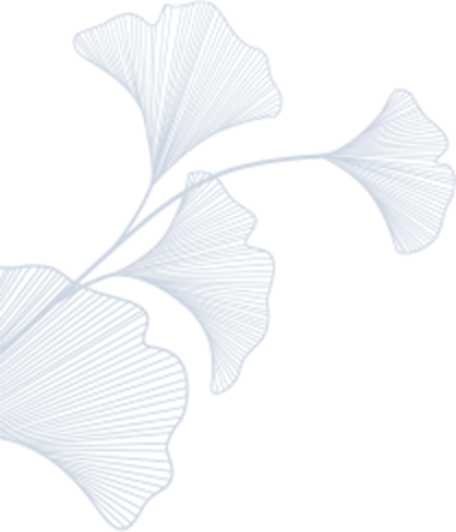 ico02